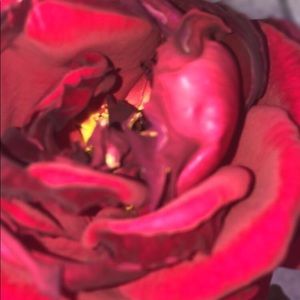 Meet your Posher, Bri